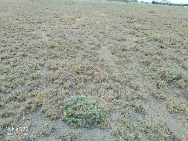 One Acre Residential Land - thumbnail 2