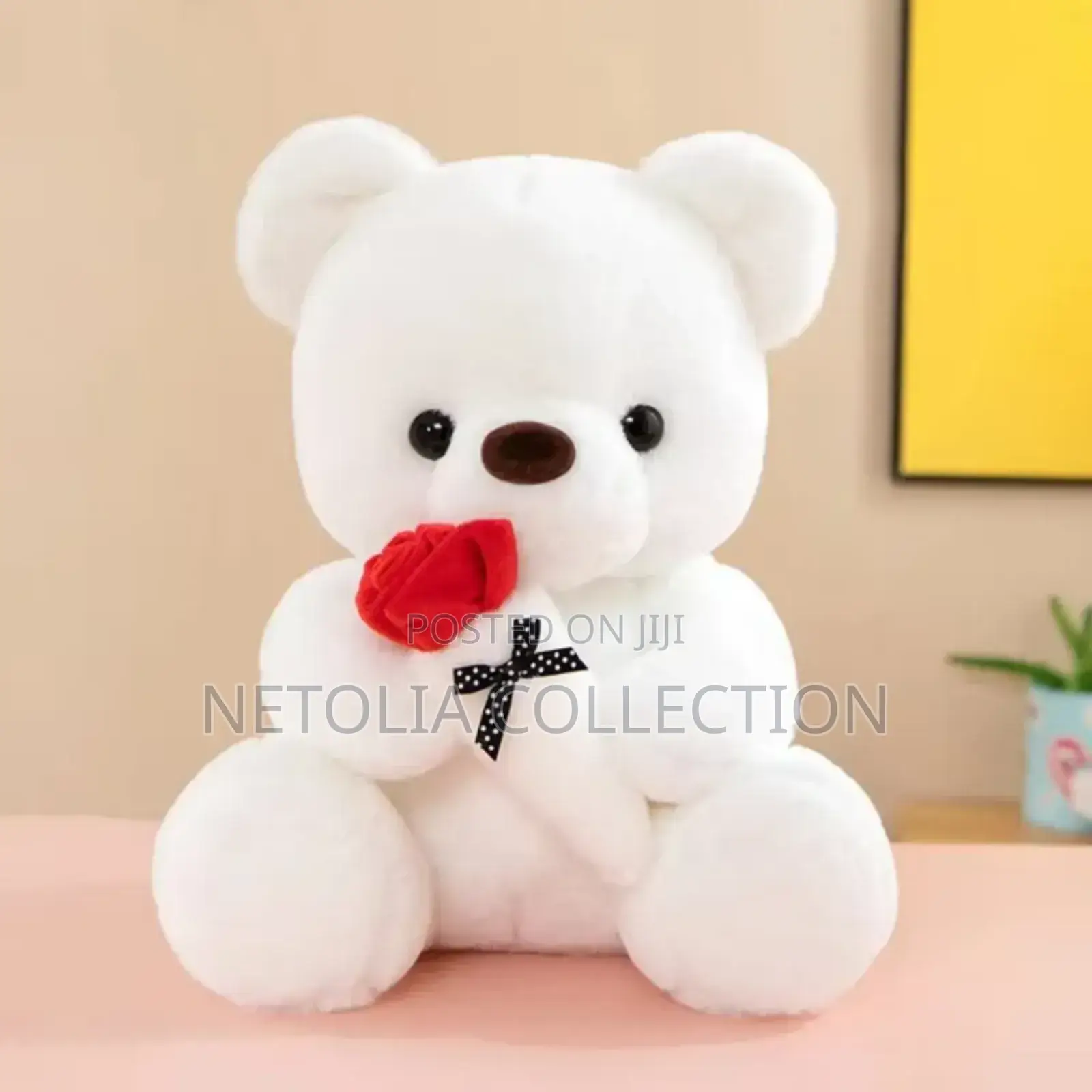 Beautiful Teadybear