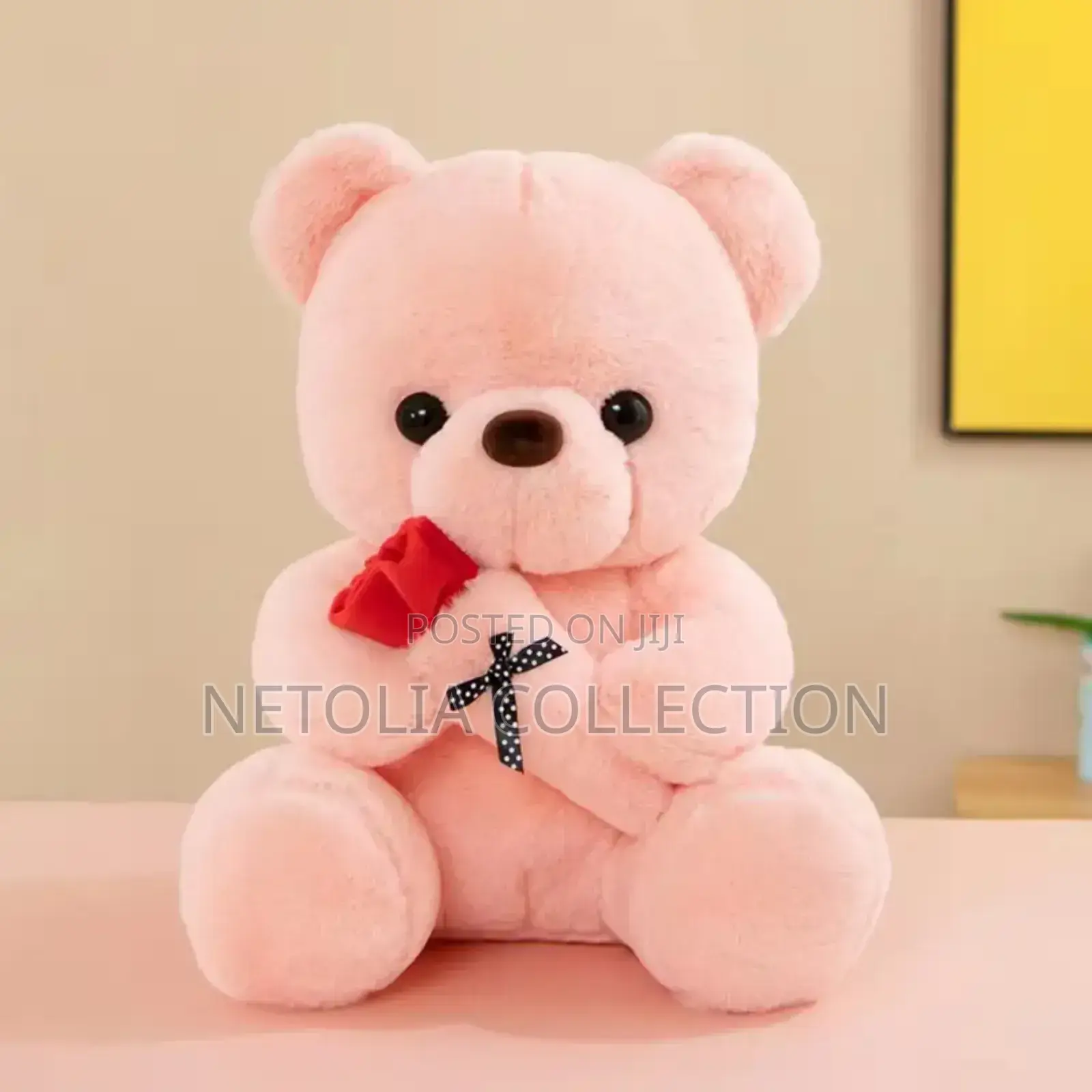 Beautiful Teadybear