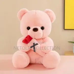 Beautiful Teadybear