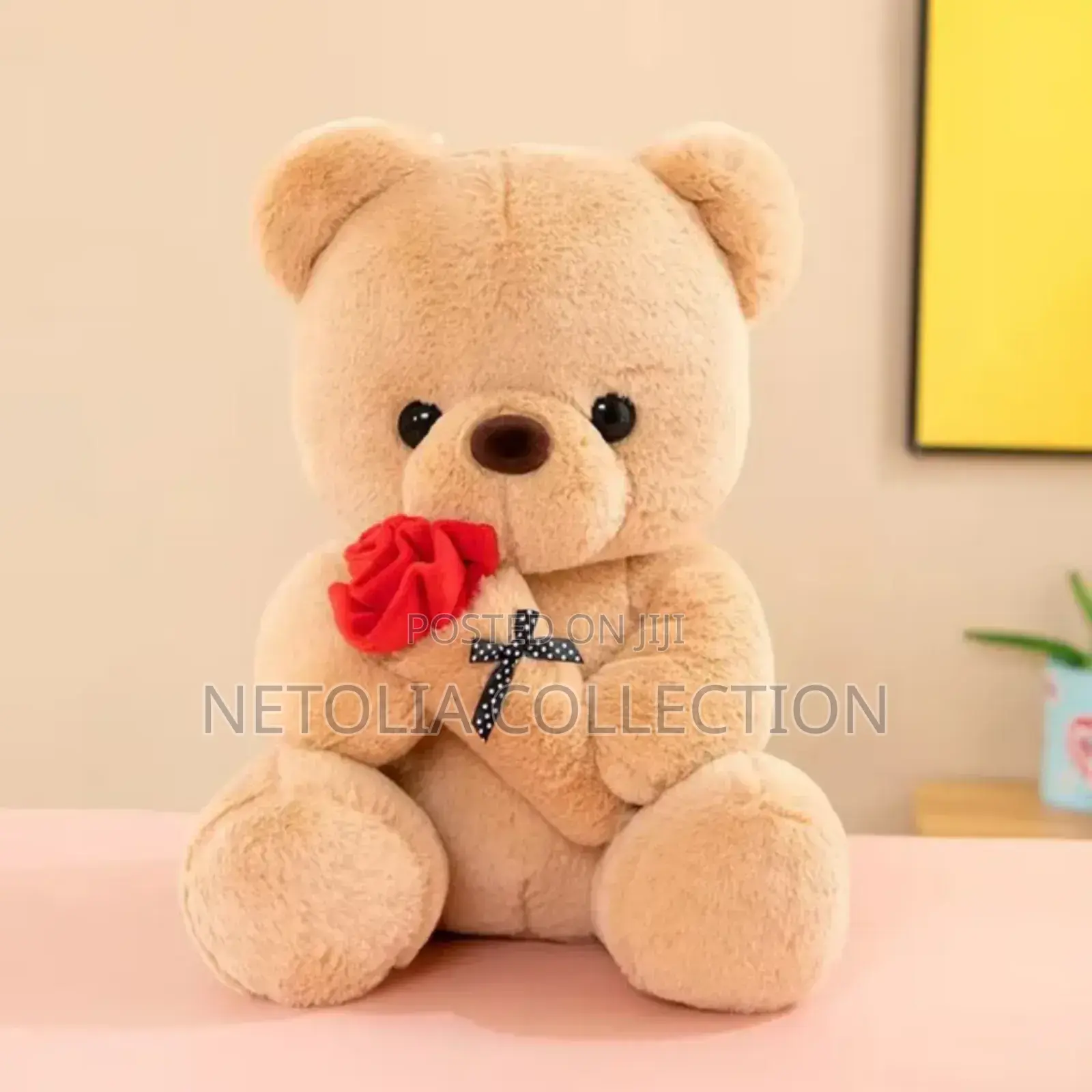 Beautiful Teadybear
