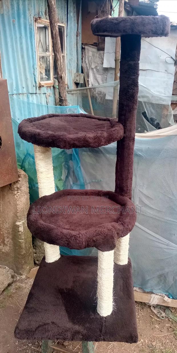 New Cat Tree - main view