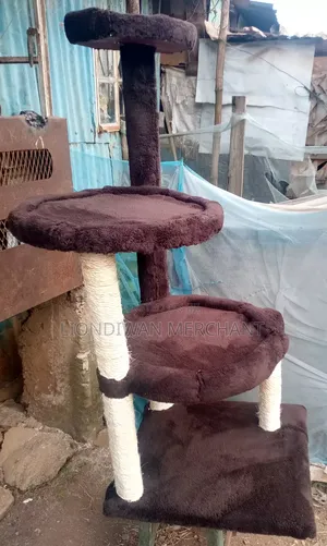 New Cat Tree