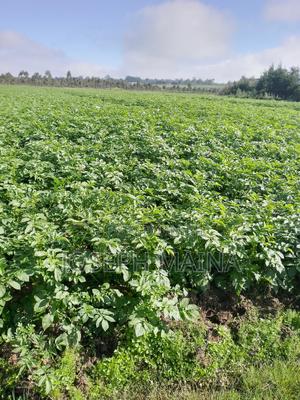 Land For Lease - thumbnail 2