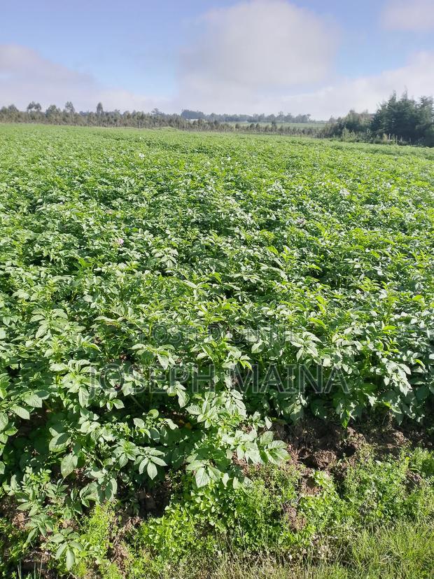 Land For Lease - main view