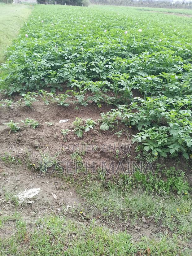 Land For Lease - thumbnail 4