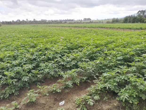 Land For Lease - thumbnail 5