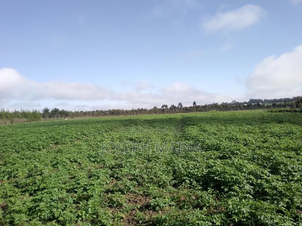 Land For Lease - thumbnail 9