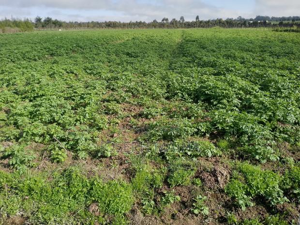 Land For Lease - thumbnail 10