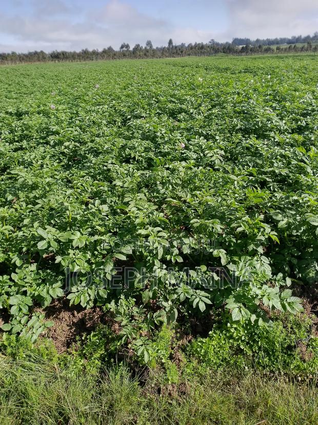 Land For Lease - thumbnail 13