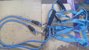 New Dog Leash