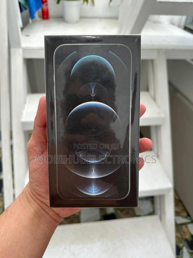 Apple iPhone 12 Pro Max 256 GB Gray