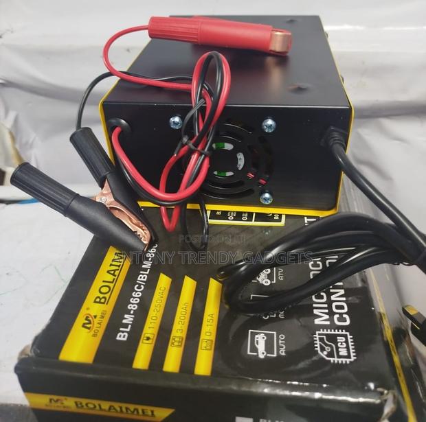 Blm-866 Pulse Charger – Mcu Controlled 3ah–200ah - main view