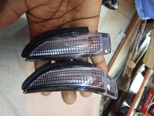 Side Mirror/Signal Indicator