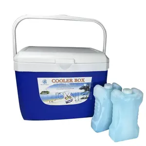 Cool Ice Box 5 Litres