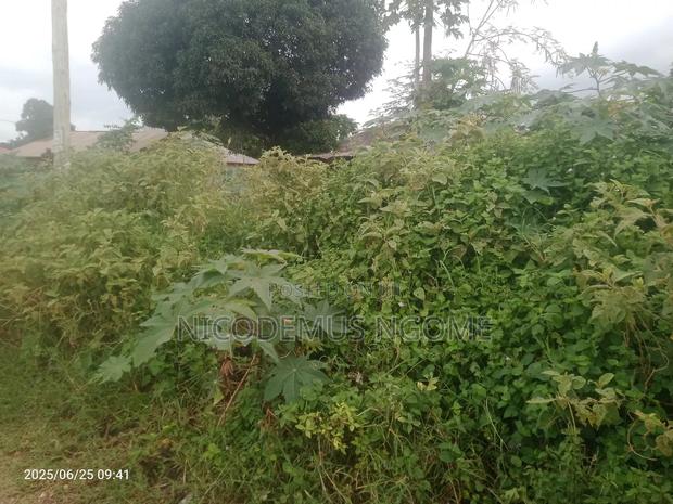 Mother Title Available - thumbnail 3