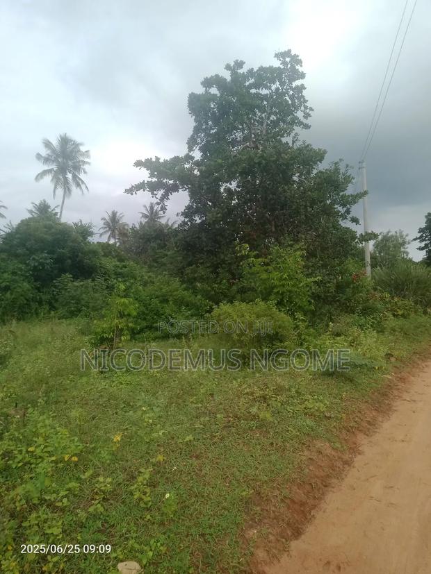 Mother Title Available - thumbnail 5