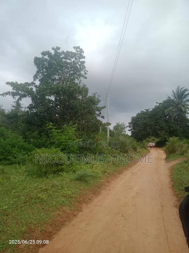 Mother Title Available - thumbnail 6