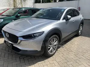 Mazda CX-30 2020 Silver