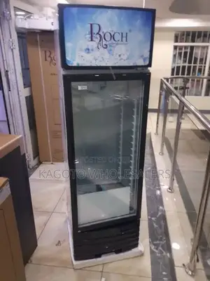 Commercial Fridge Display 209 L Roch