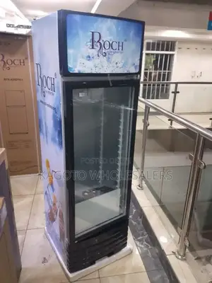 Commercial Fridge Display 209 L Roch