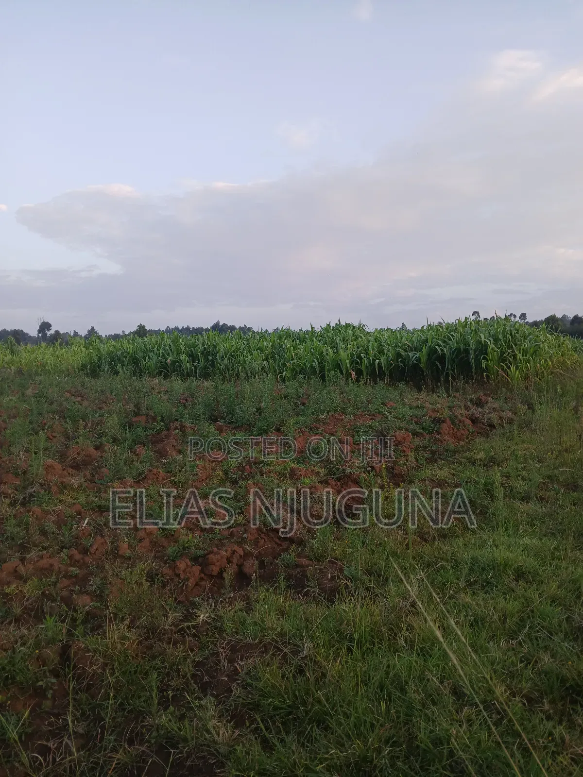 Nyahururu Maili Nne - Nyeri Rd 3acres With Free Hold Title.