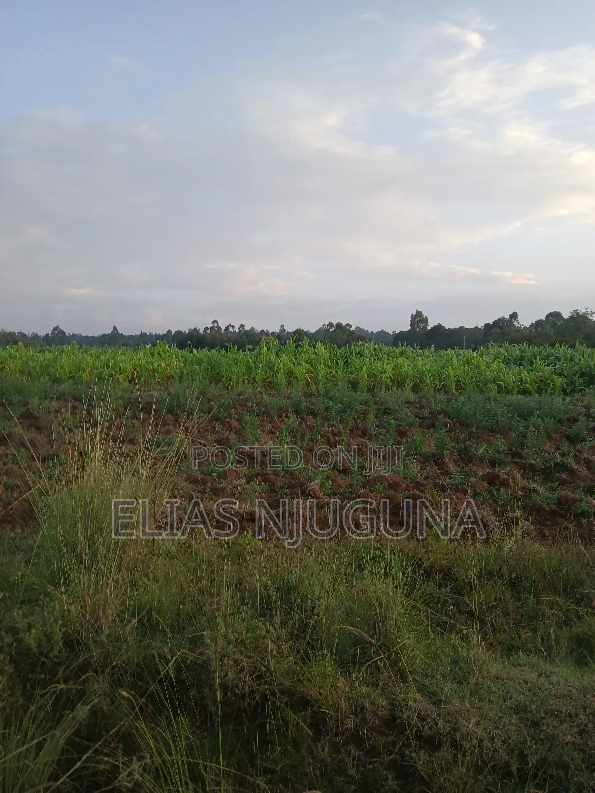 Nyahururu Maili Nne - Nyeri Rd 3acres With Free Hold Title.