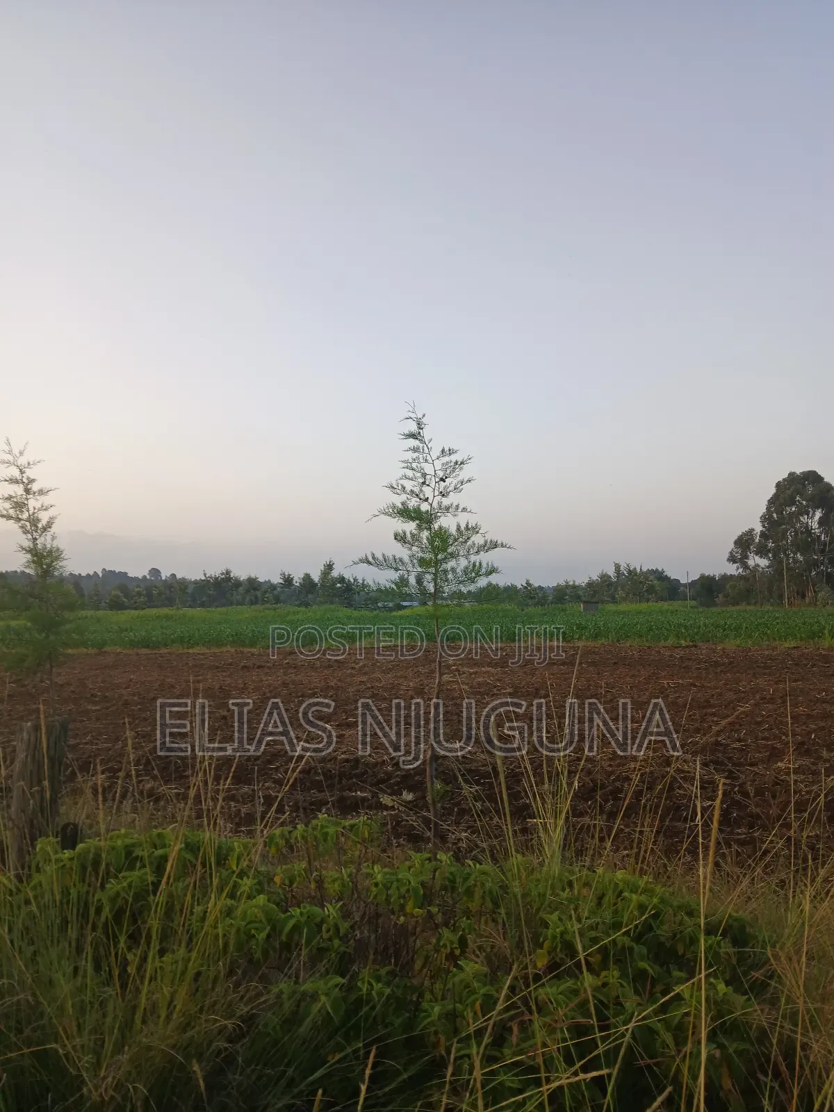 Nyahururu Maili Nne - Nyeri Rd 3acres With Free Hold Title.