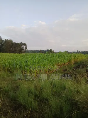 Nyahururu Maili Nne - Nyeri Rd 3acres With Free Hold Title.