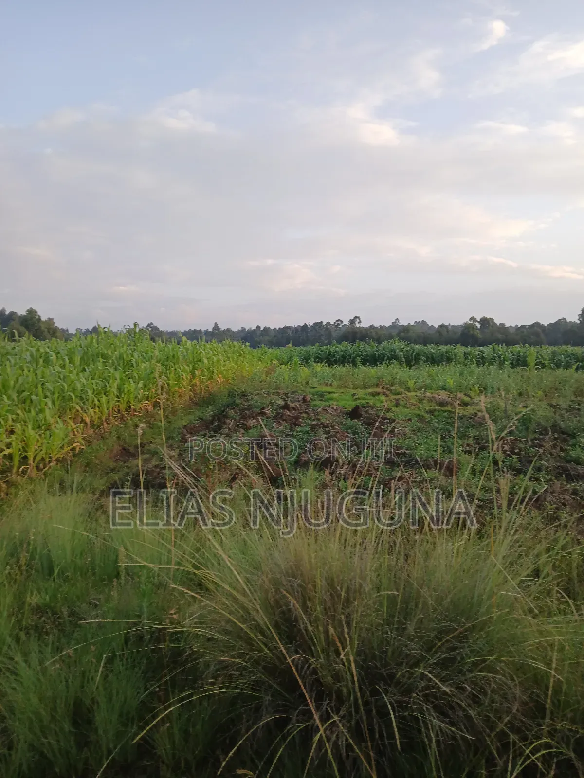 Nyahururu Maili Nne - Nyeri Rd 3acres With Free Hold Title.