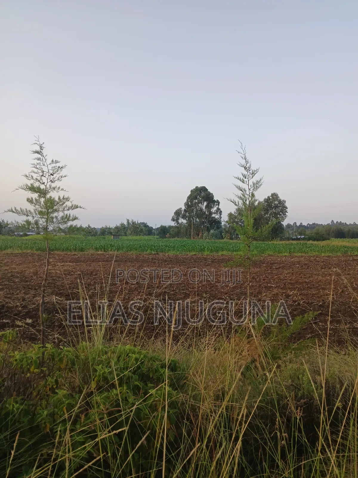 Nyahururu Maili Nne - Nyeri Rd 3acres With Free Hold Title.