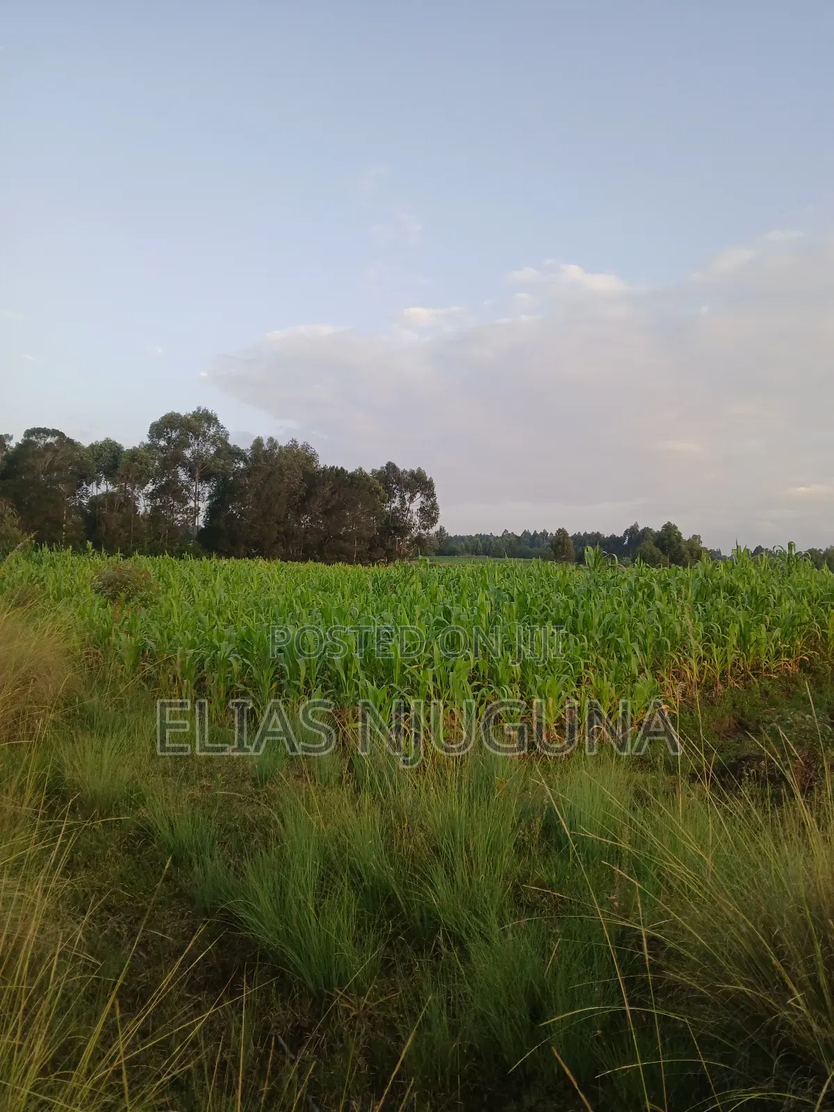 Nyahururu Maili Nne - Nyeri Rd 3acres With Free Hold Title.
