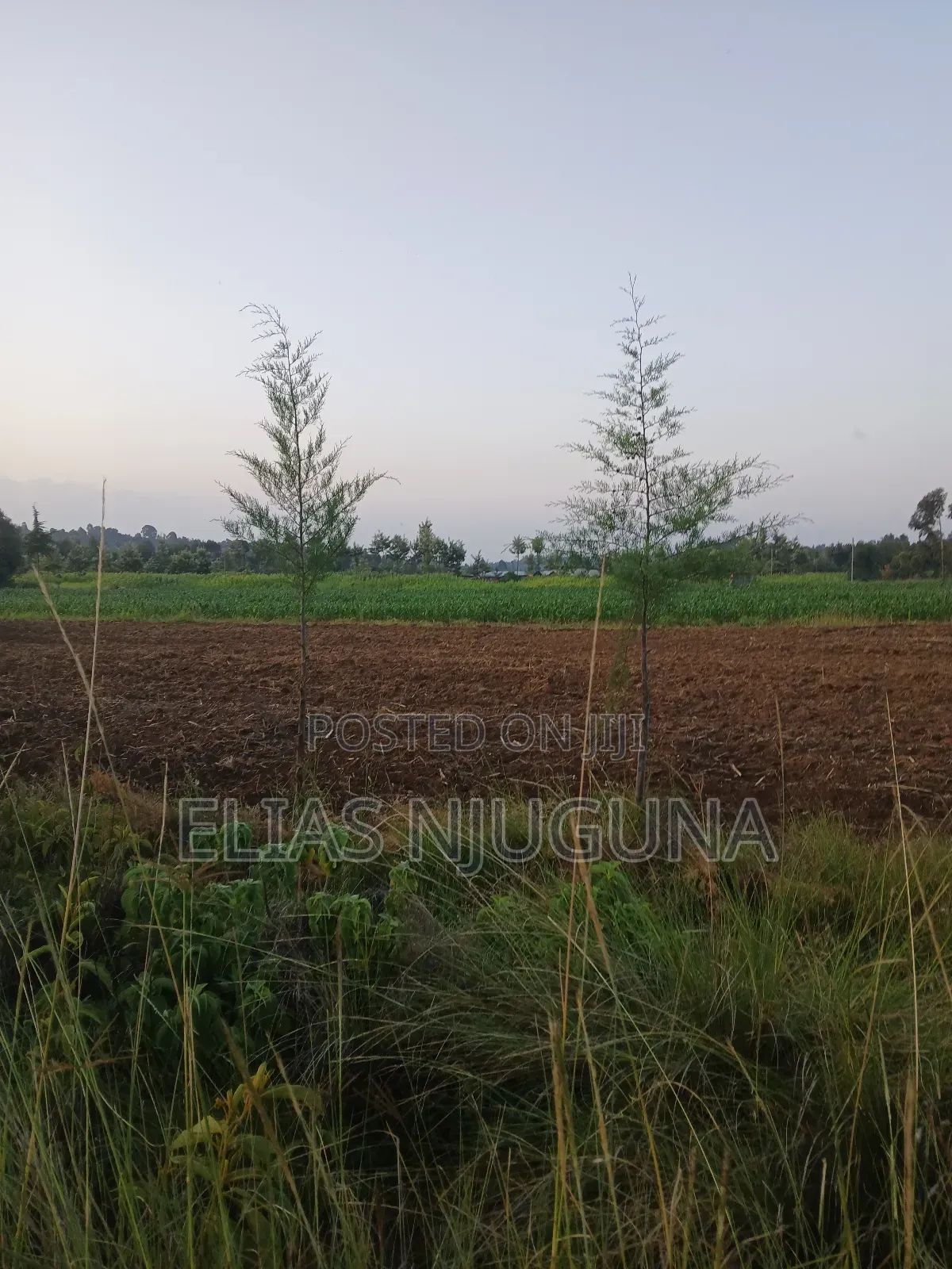 Nyahururu Maili Nne - Nyeri Rd 3acres With Free Hold Title.