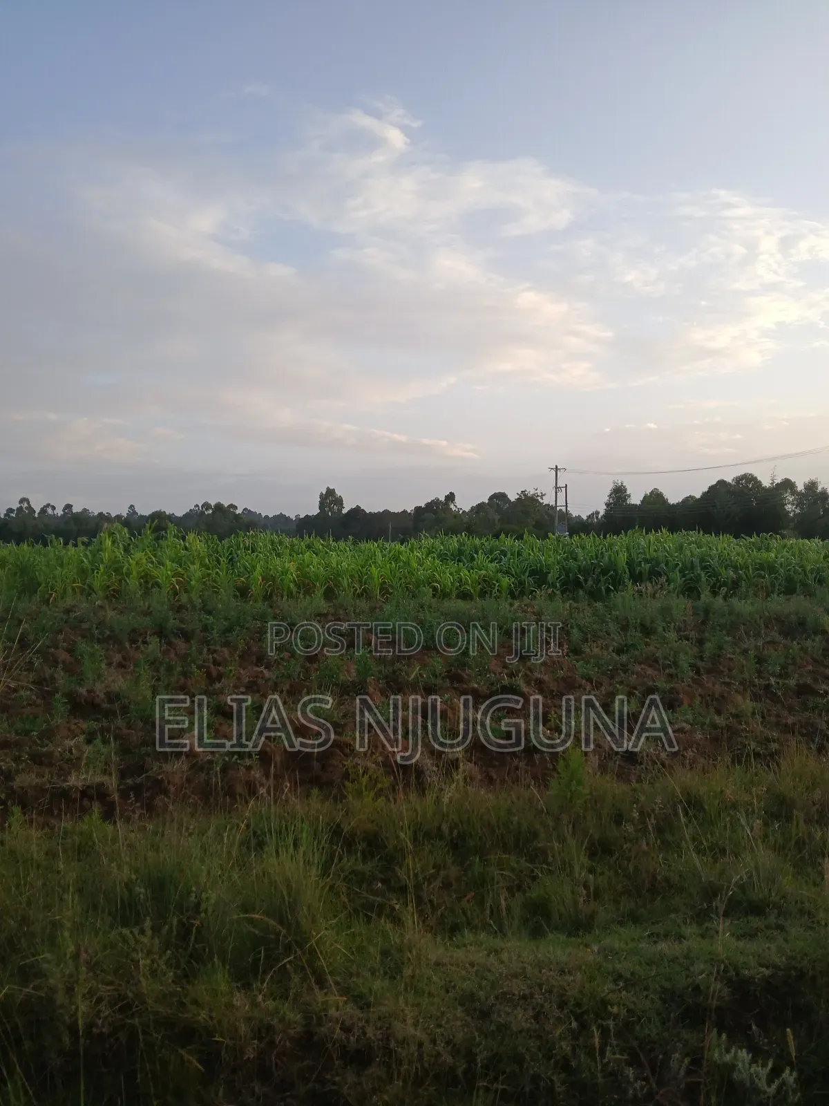 Nyahururu Maili Nne - Nyeri Rd 3acres With Free Hold Title.