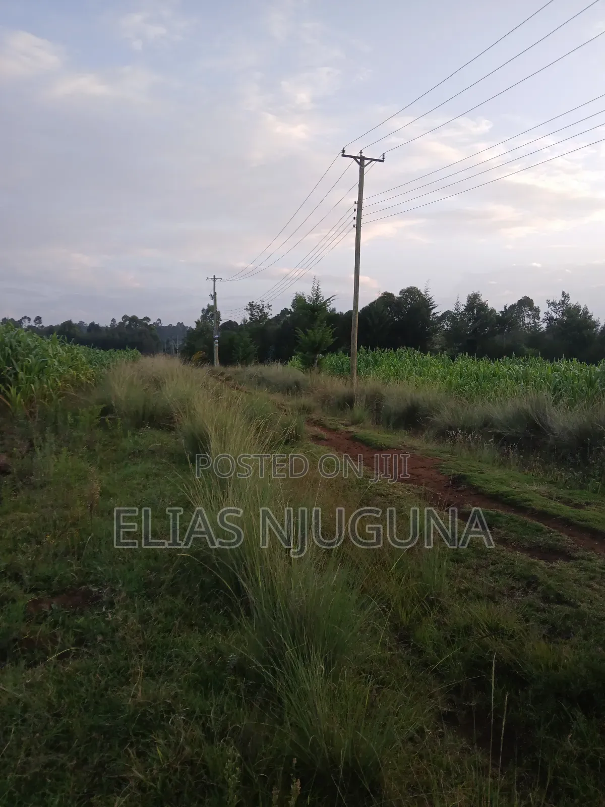 Nyahururu Maili Nne - Nyeri Rd 3acres With Free Hold Title.
