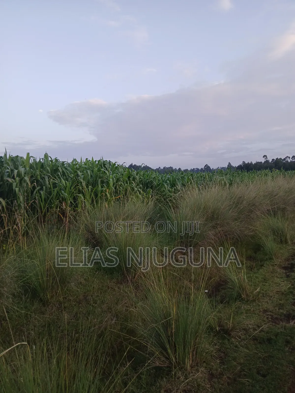 Nyahururu Maili Nne - Nyeri Rd 3acres With Free Hold Title.