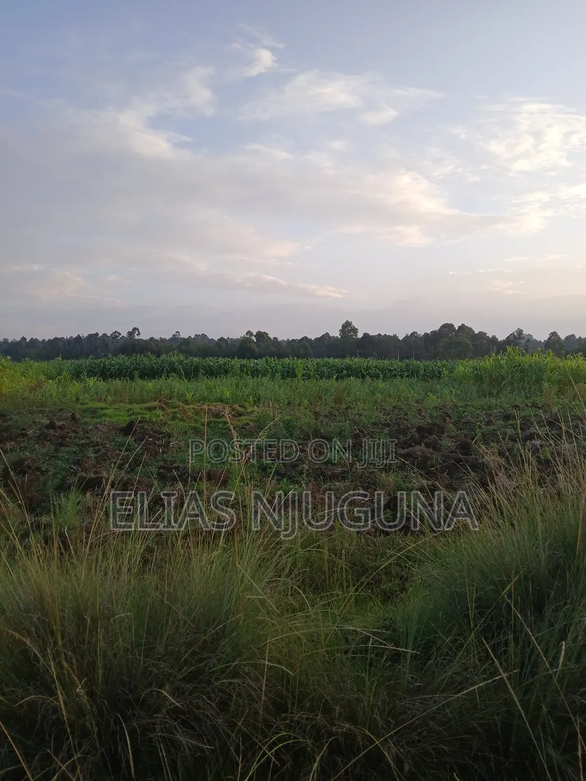 Nyahururu Maili Nne - Nyeri Rd 3acres With Free Hold Title.
