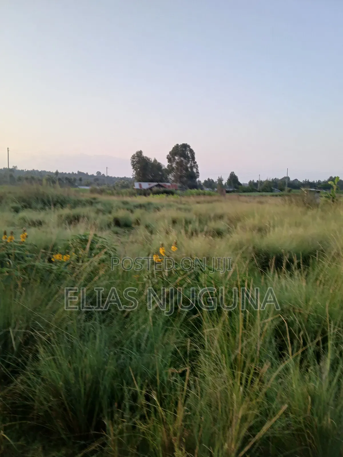 Nyahururu Maili Nne - Nyeri Rd 3acres With Free Hold Title.