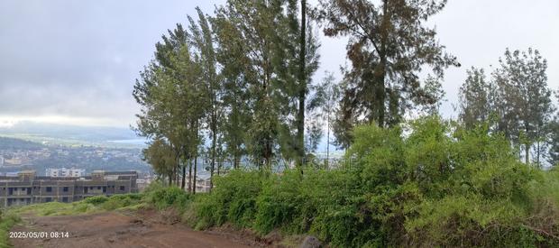 1 Acre for Quick Sale in Milimani, Nakuru || Pedex - thumbnail 11