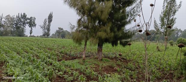 1 Acre for Quick Sale in Milimani, Nakuru || Pedex - thumbnail 12