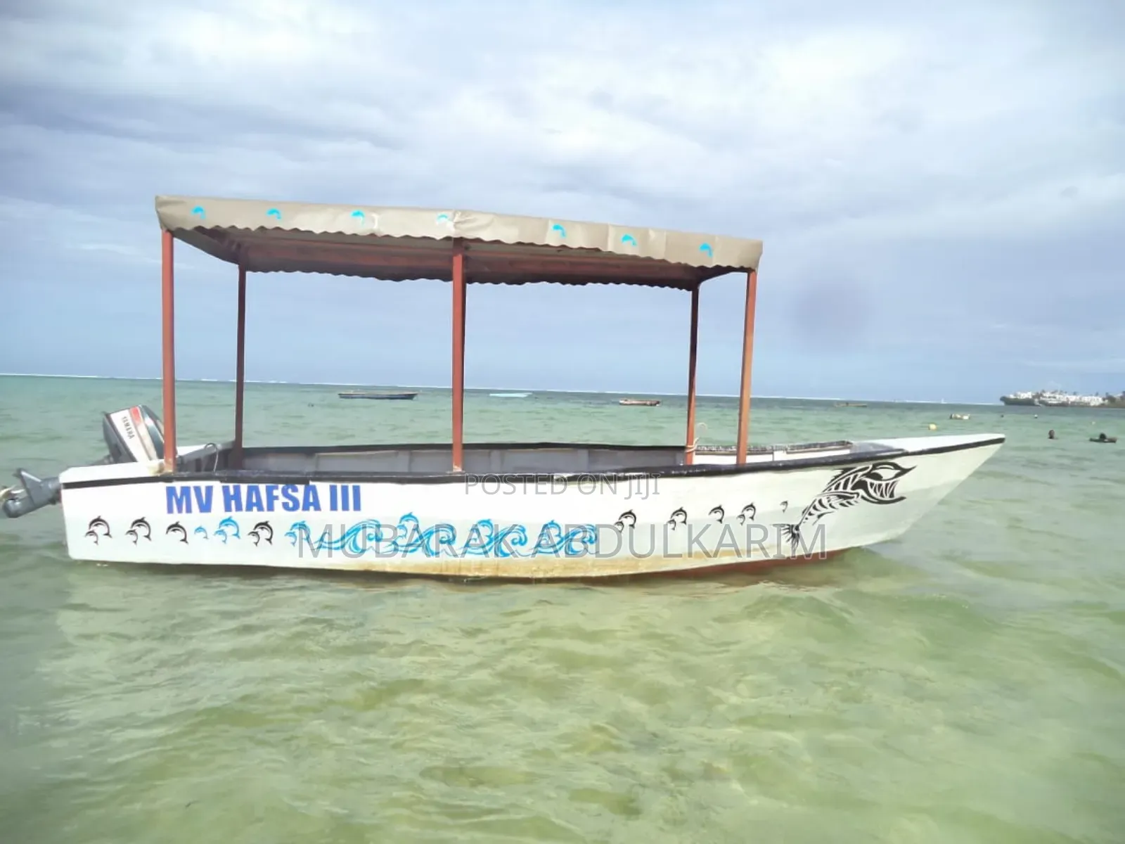 17ft 8 Person Day Fishing/Excursion Boat