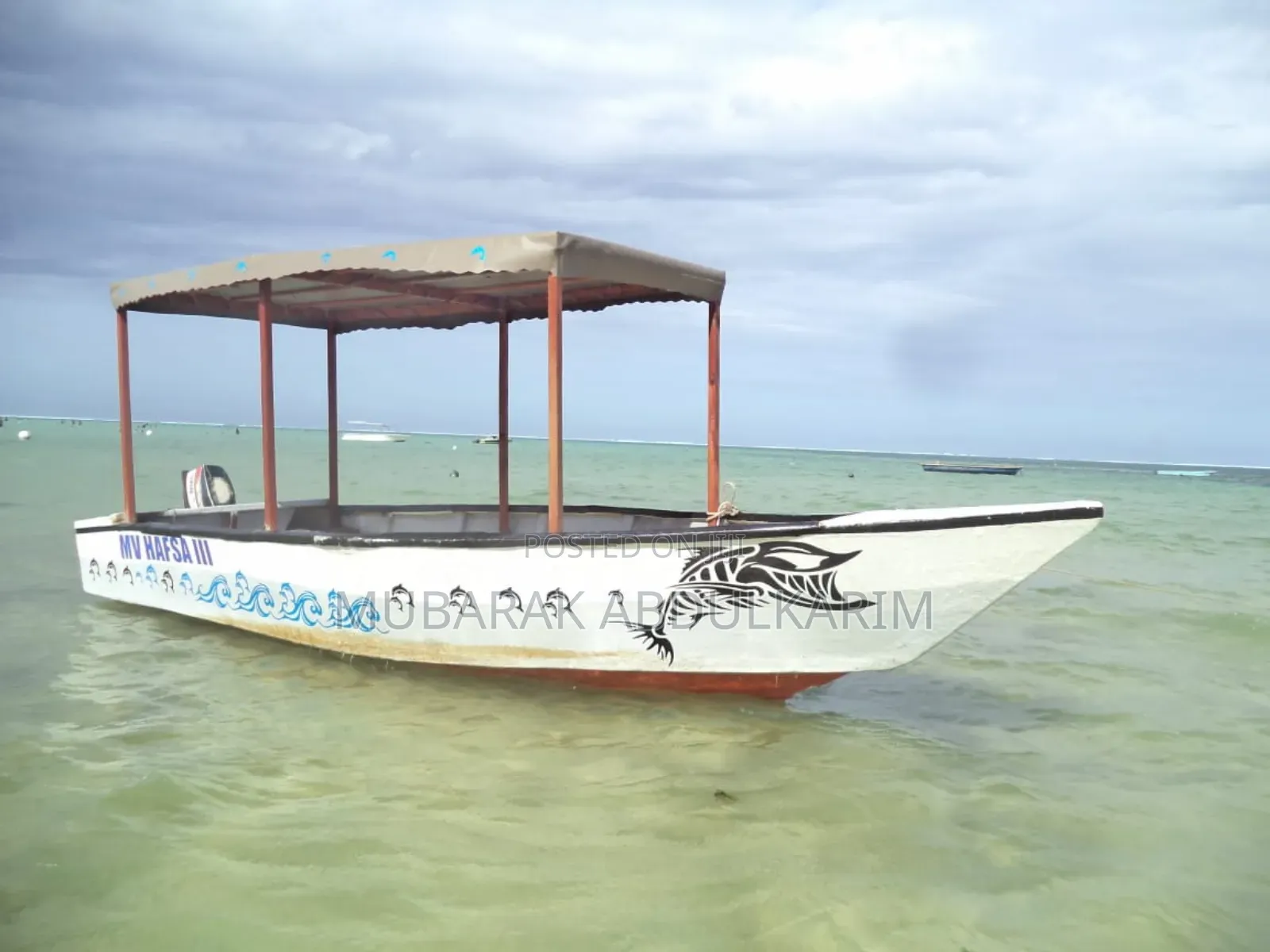 17ft 8 Person Day Fishing/Excursion Boat