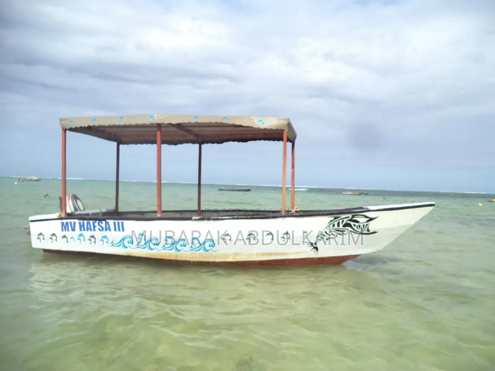 17ft 8 Person Day Fishing/Excursion Boat