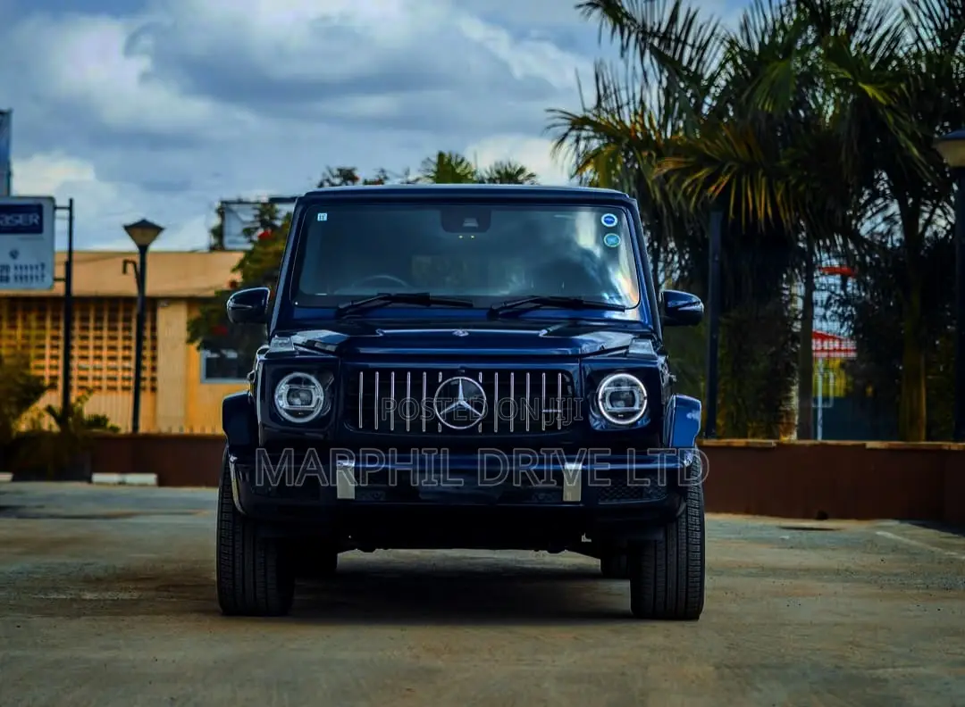 Mercedes-Benz G-Class G 350 d 2019 Blue