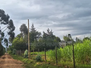 1/2 Acre Plots in Nyahururu