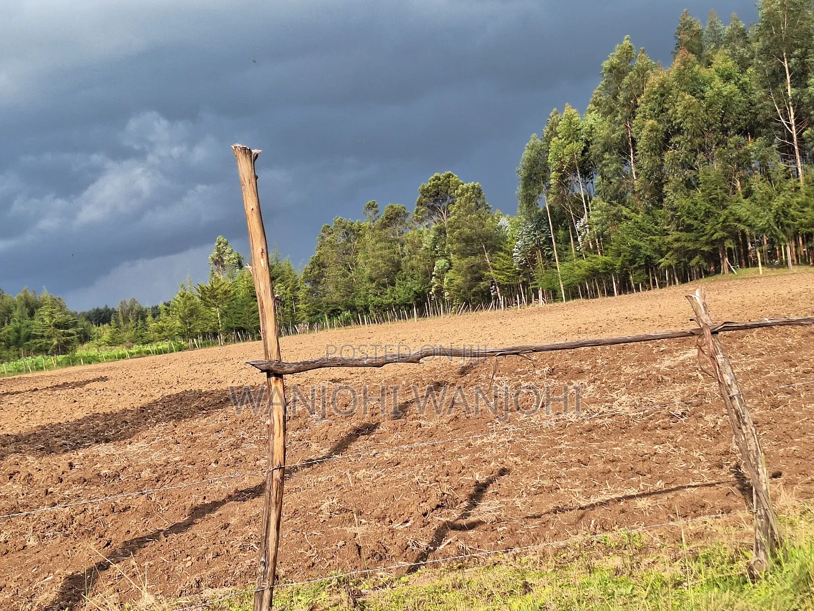 1/2 Acre Plots in Nyahururu