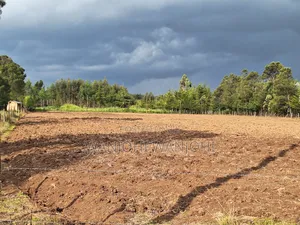 1/2 Acre Plots in Nyahururu