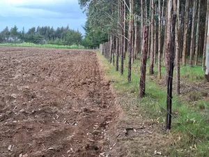 1/2 Acre Plots in Nyahururu