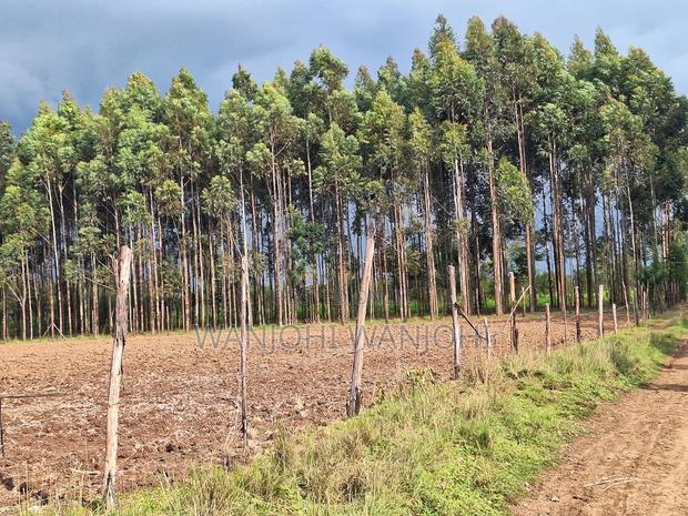 1/2 Acre Plots in Nyahururu - thumbnail 6