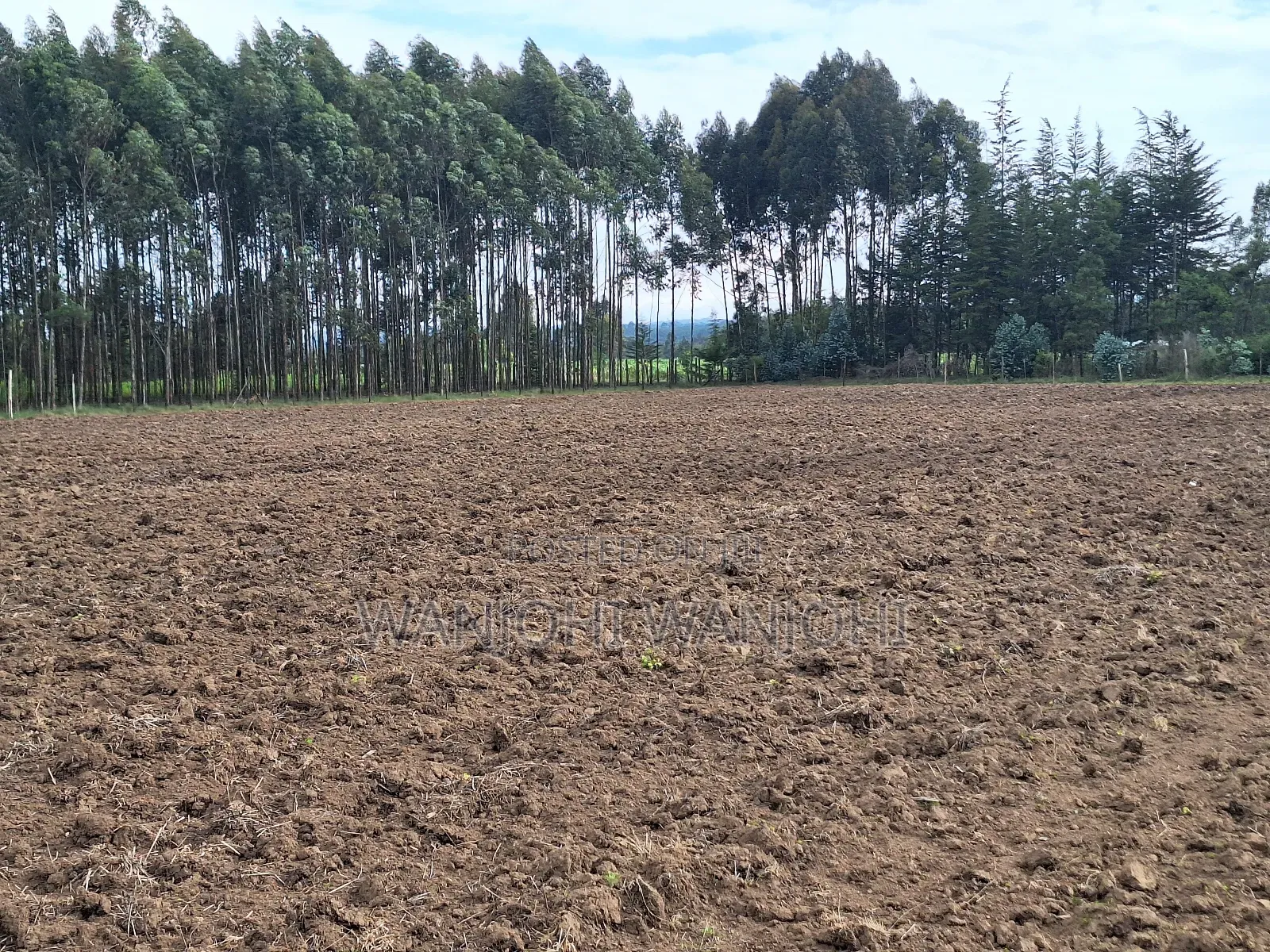 0.5 Acre Plots in Gatimu